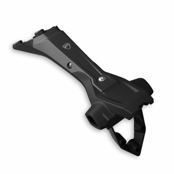 Carbon number plate holder (97382131AA)