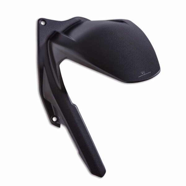 Carbon rear mudguard (96981911AA)
