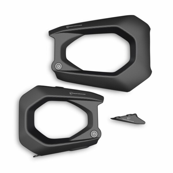 Carbon swingarm guard (96981811AA)