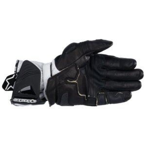 alpinestars_gp_pro_rs4_gloves_black_750x750 (5)