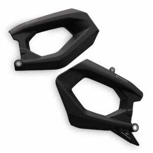 Carbon swingarm guard (96982081AA)